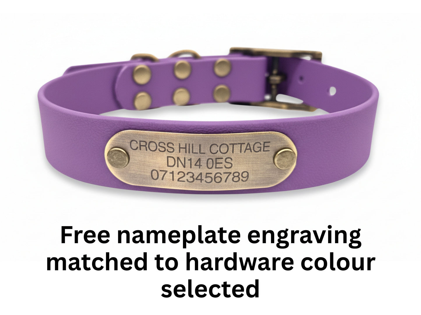Lila Hundehalsband mit einem Messing-Namensschild auf weißem Hintergrund