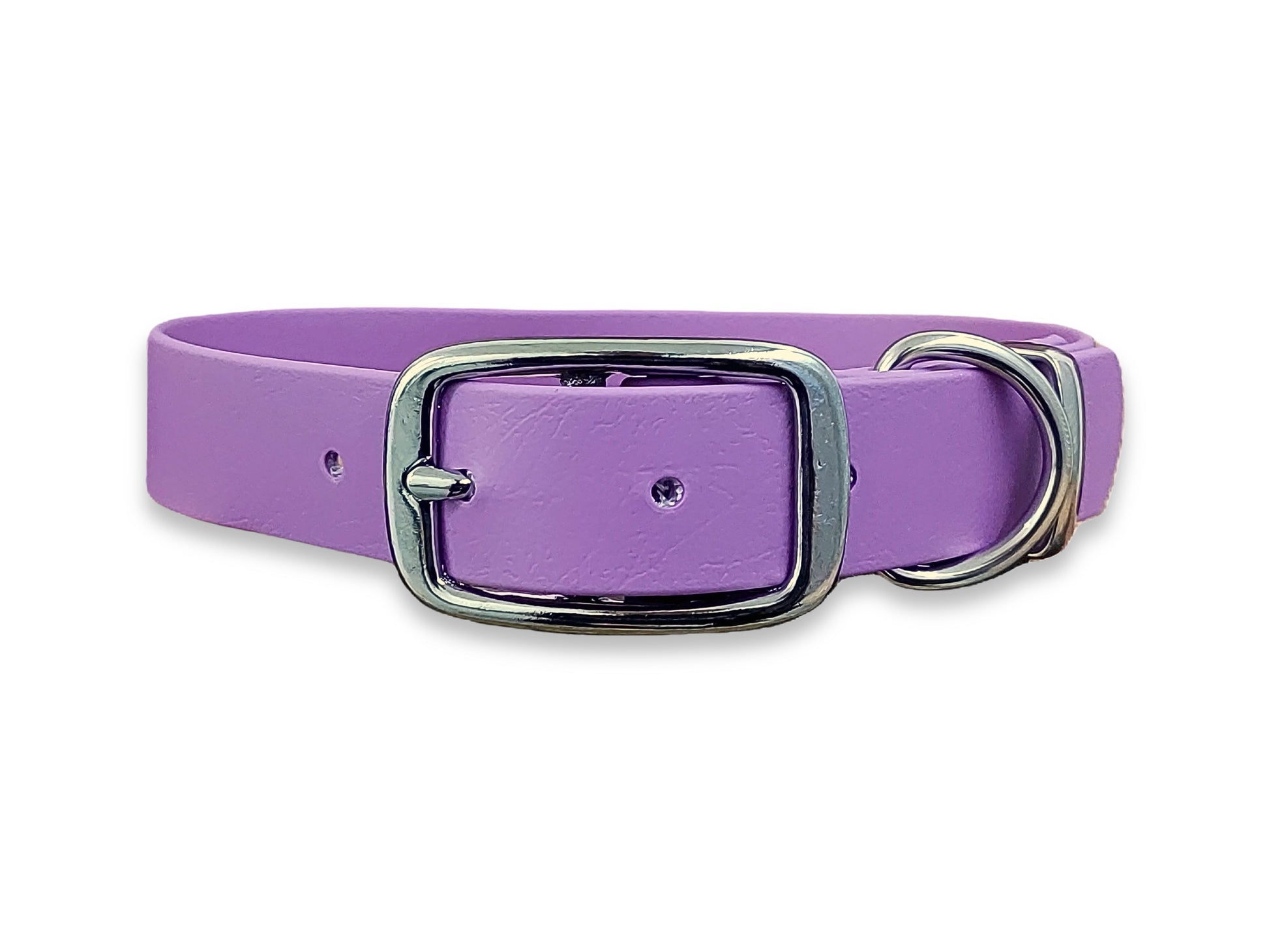 Amethyst waterproof Biothane dog collar – odour-free, flexible and perfect for outdoor dogs – by Collared Creatures