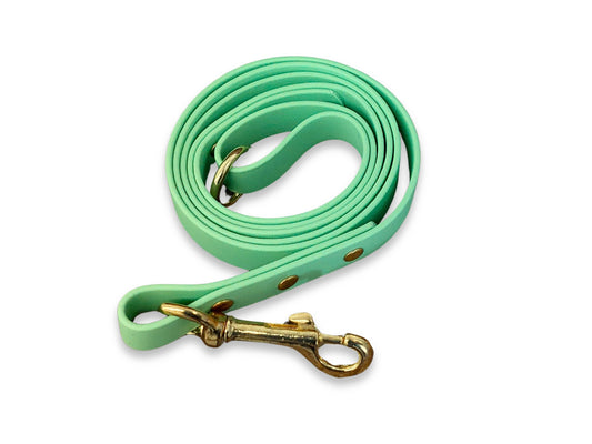Vibrant Green Dog Lead in Waterproof Biothane – Easy to Clean and Handmade