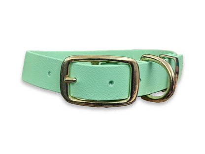 Adjustable Biothane dog collar in Apple Green – waterproof and easy to clean – by Collared Creatures