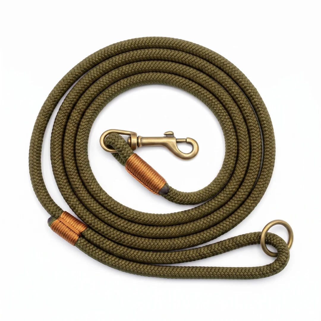 An olive green braided rope leash with brass-colored hardware, including a swivel snap hook and a metal ring, coiled on a white background.