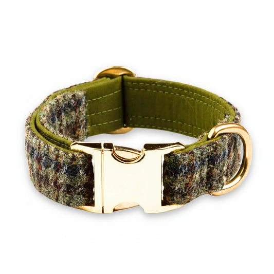 Autumn houndstooth Harris Tweed dog collar with gold buckle on a white background