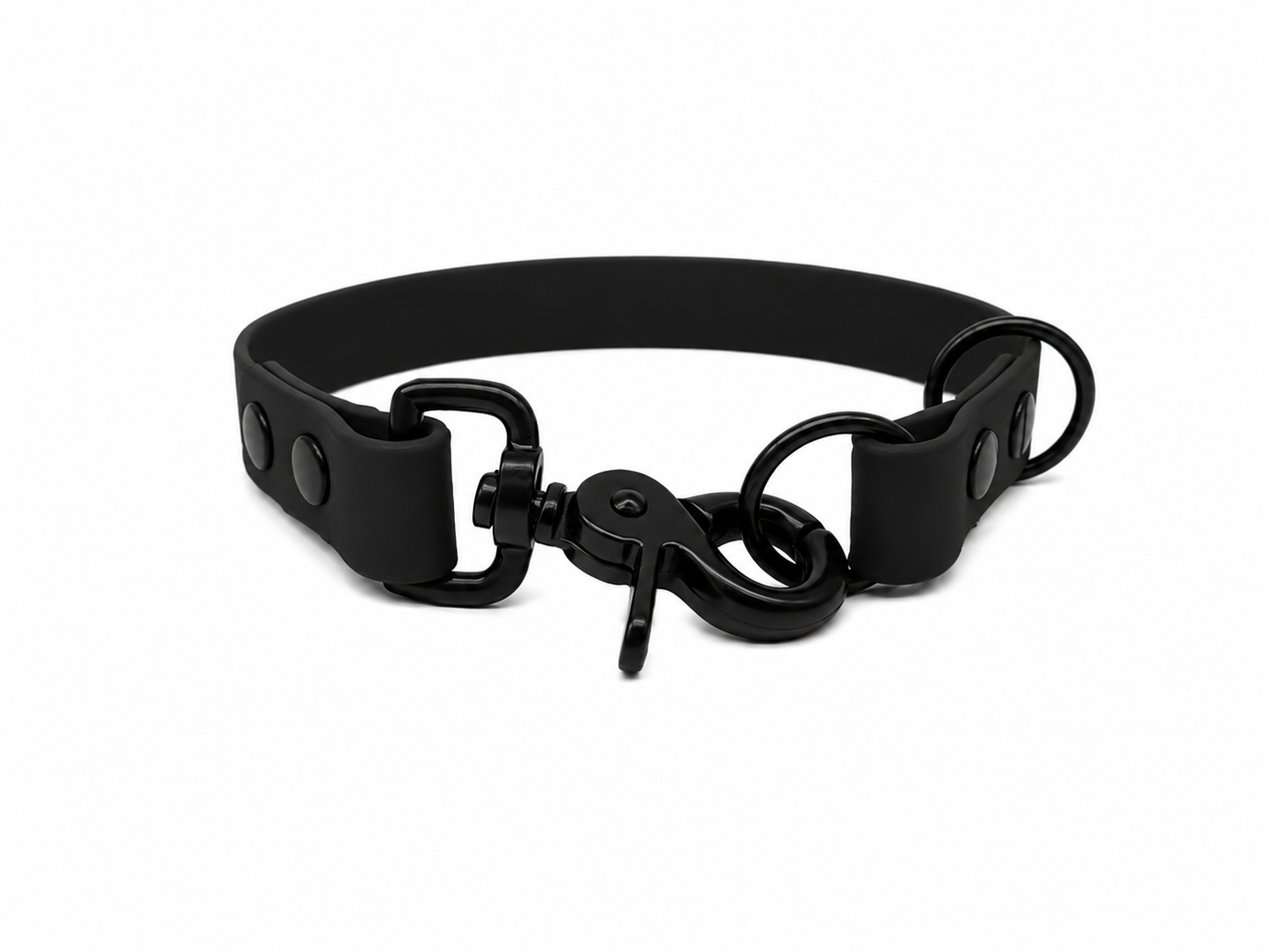 Black Waterproof Biothane Slip Dog Collar