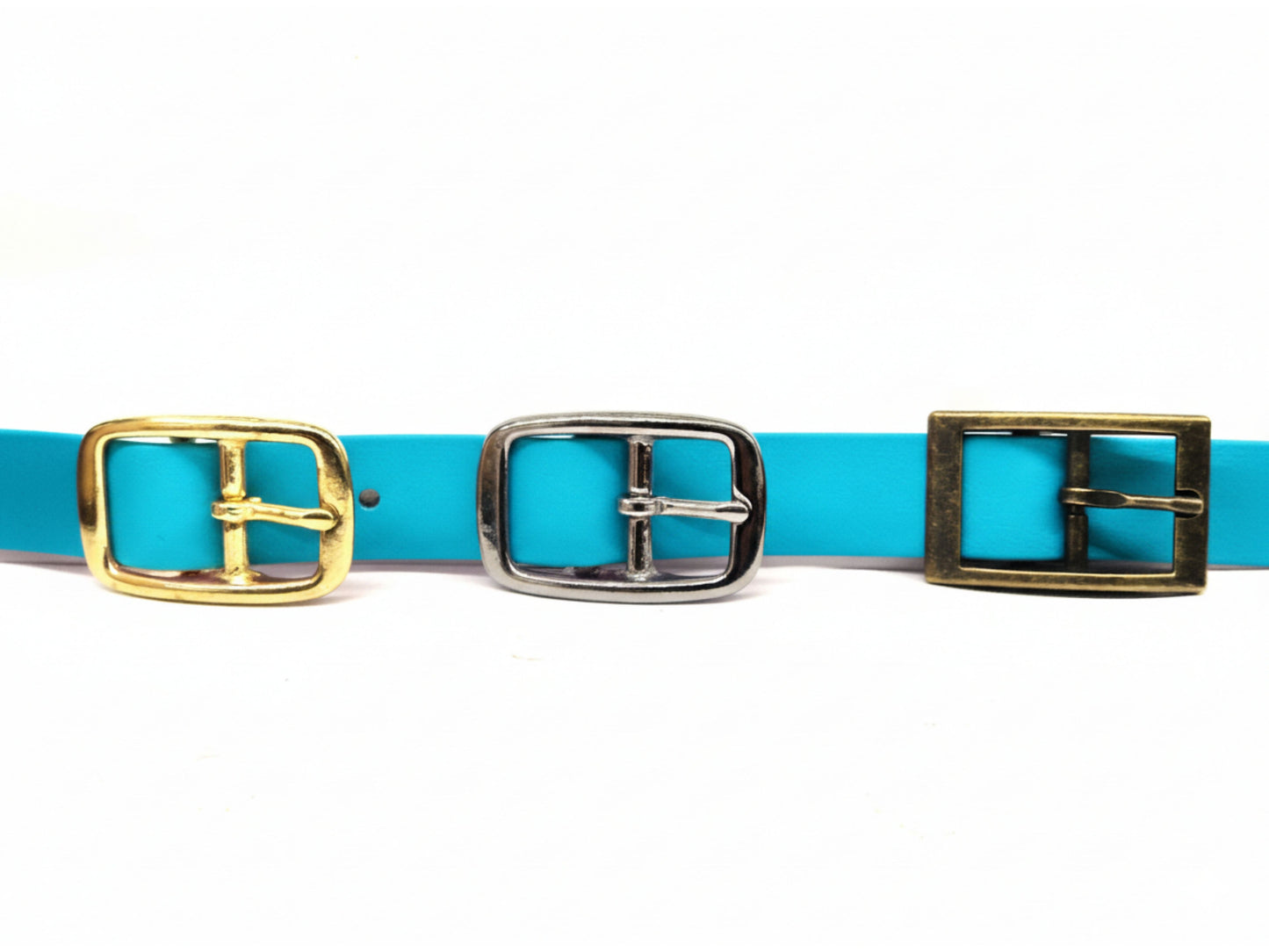 baby blue dog collar with three different buckles on a white background