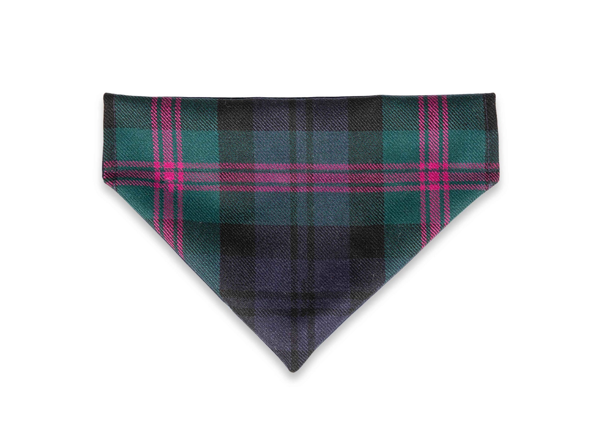Baird Modern Tartan Harris Tweed dog bandana on collar