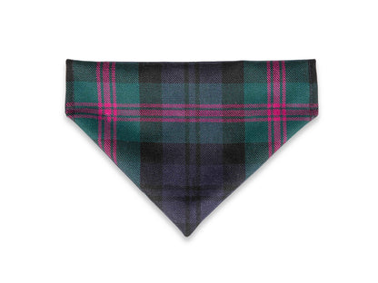 Baird Modern Tartan Harris Tweed dog bandana on collar