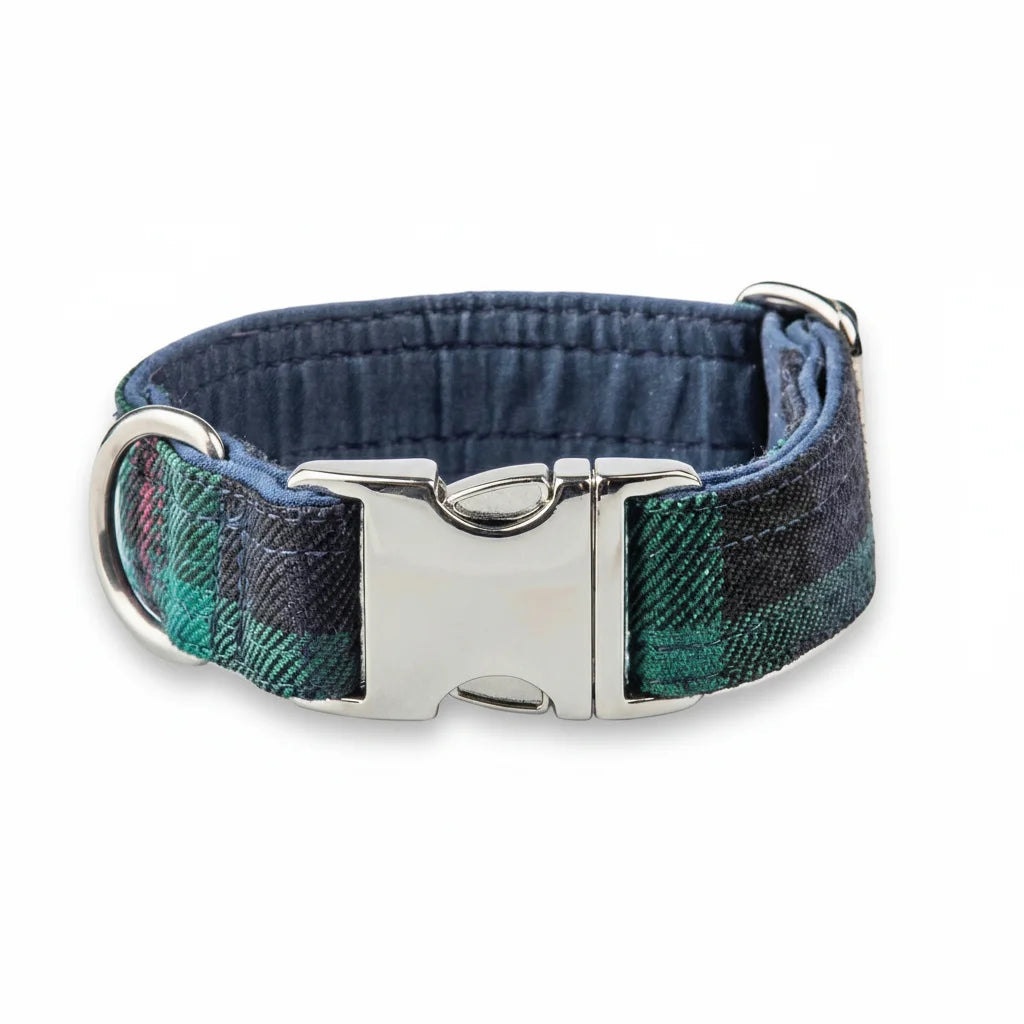 Baird modern tartan Harris Tweed dog collar with silver buckle on a white background