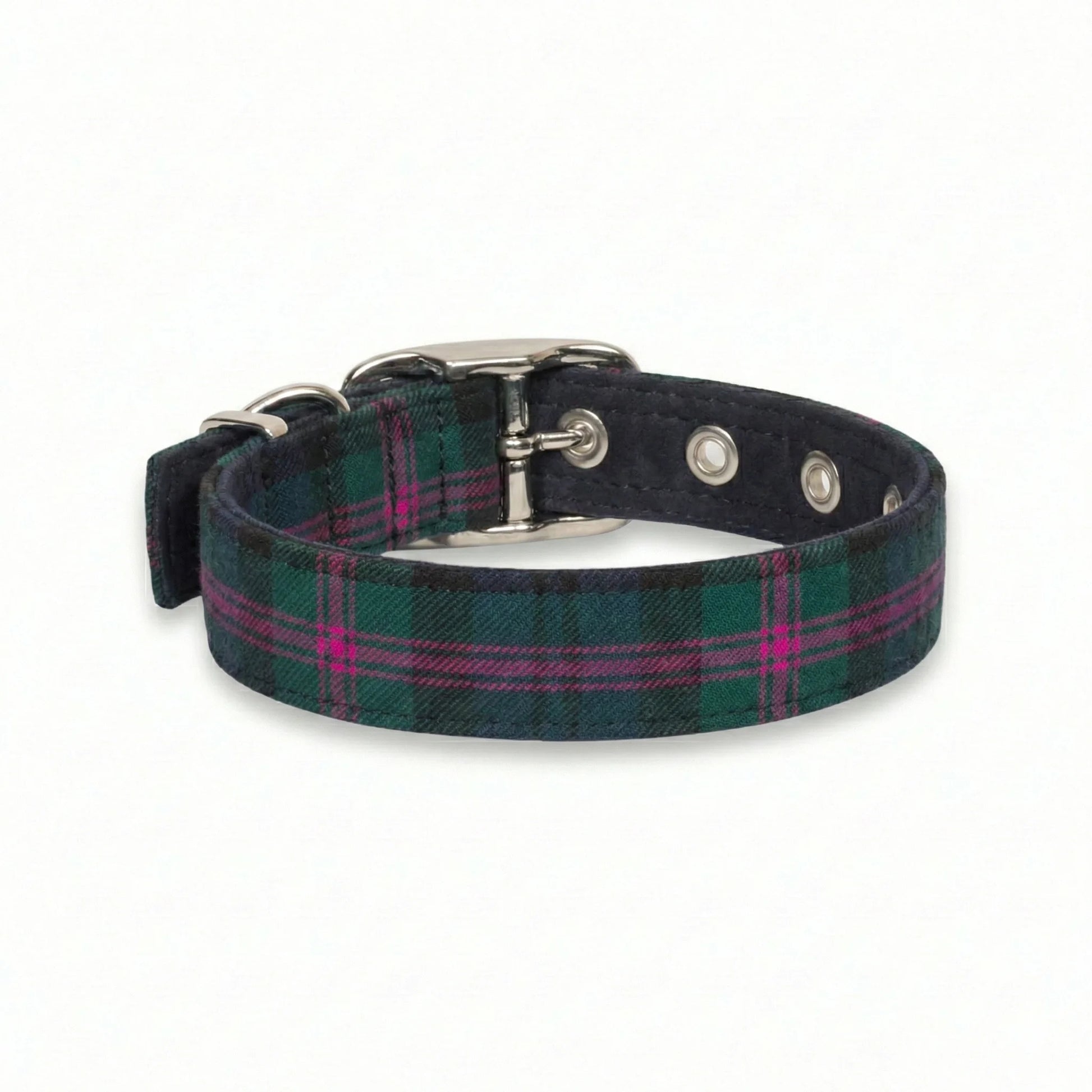 Plaid dog collar with metal buckle on a white background