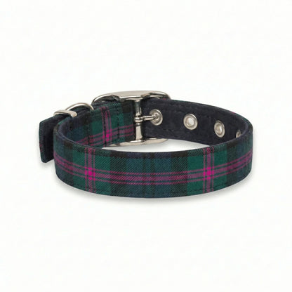 Plaid dog collar with metal buckle on a white background