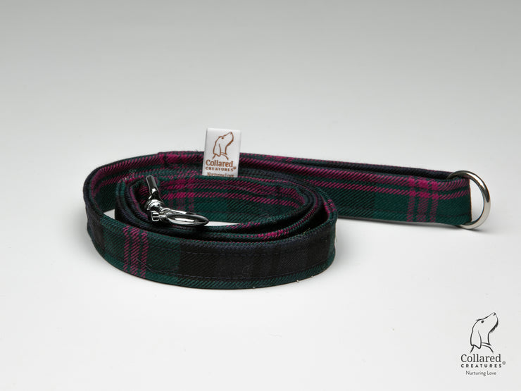 Baird Modern-Buckle Fastening Luxury Dog Collar