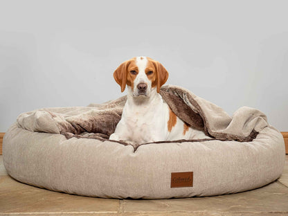 Beagle relaxing in beige cocoon dog bed with thick fleece cover by Collared Creatures