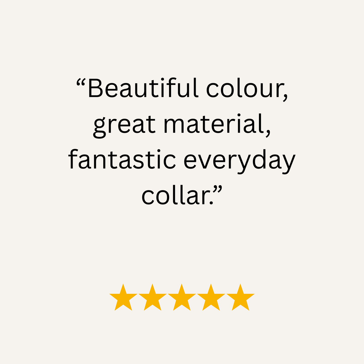 Teal Waterproof Biothane Buckle Dog Collar