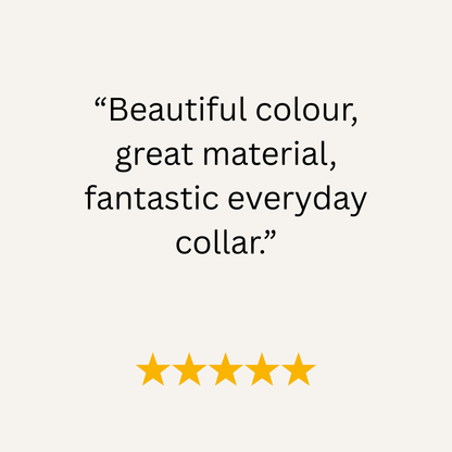 Teal Waterproof Biothane Buckle Dog Collar