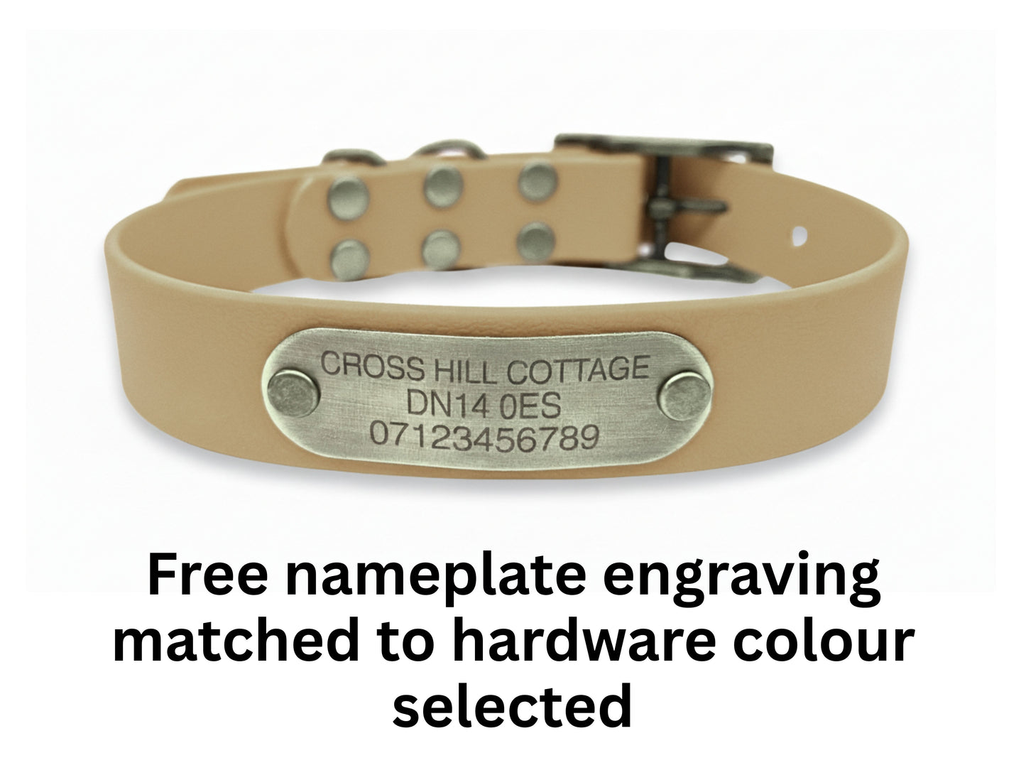 Beige dog collar with a nameplate on a white background