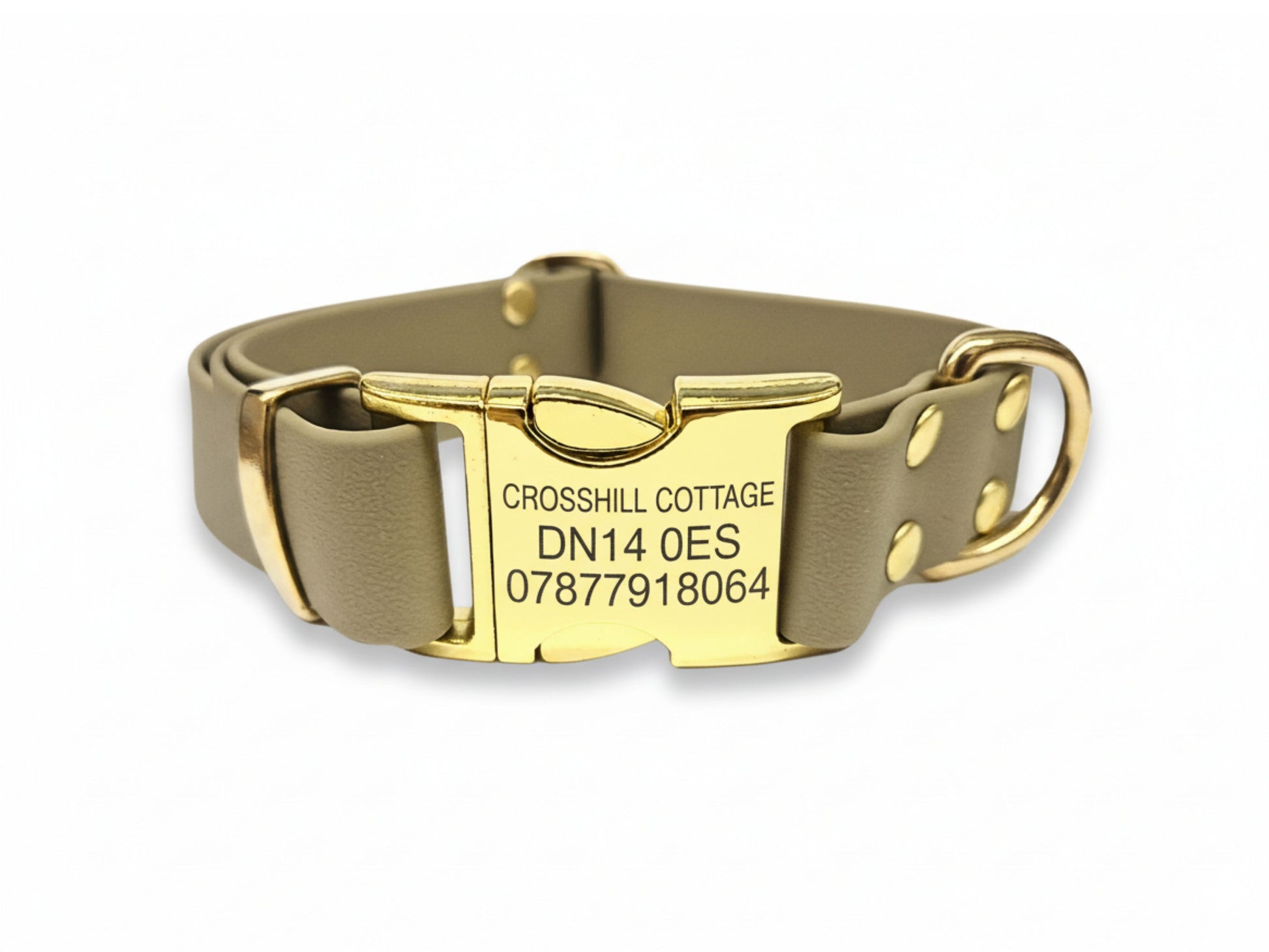 beige dog collar with engraved plate on a white background