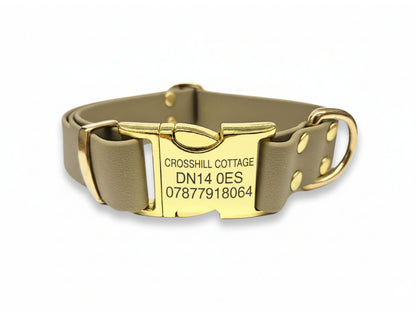 beige dog collar with engraved plate on a white background