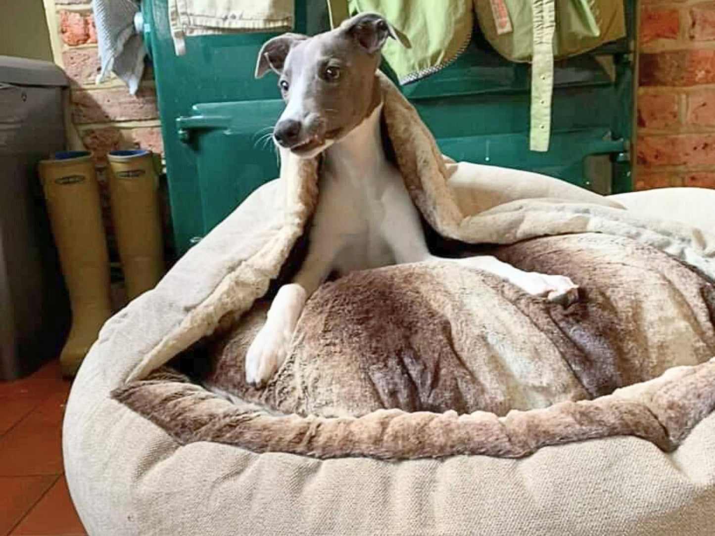 Dog lying on a large fluffy covered dog bed in a cozy indoor setting.