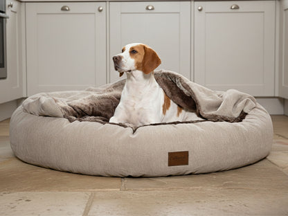 Dog lying on a large beige dog bed in a kitchen