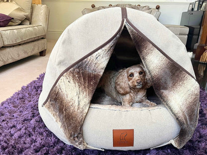 Cockapoo resting in a beige deluxe cocoon dog bed on a purple rug