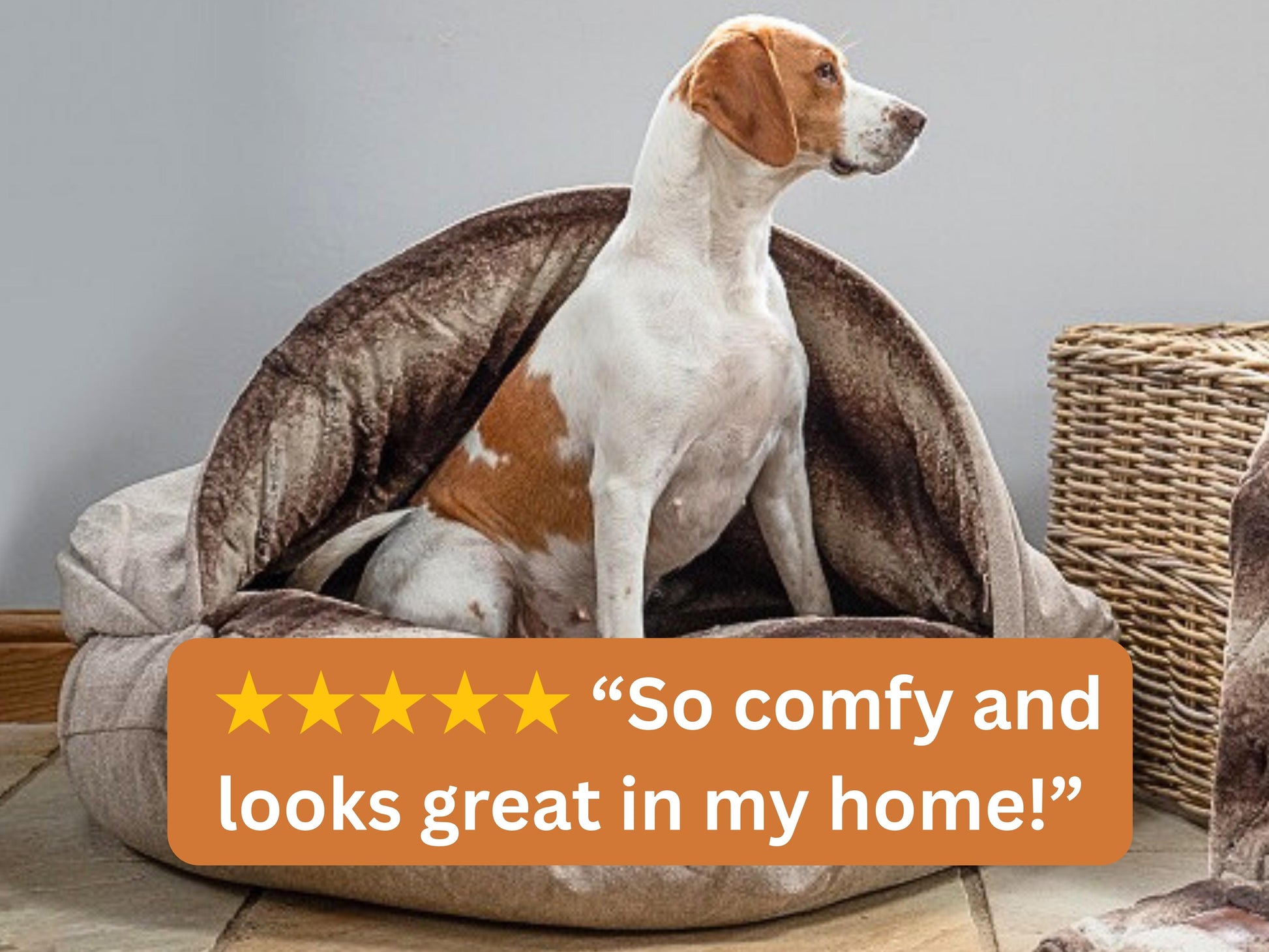 Soft beige dog cave bed for dogs featuring a five-star review.