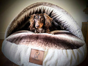 Dachshund inside beige dog cave bed with soft faux fur lining - Collared Creatures
