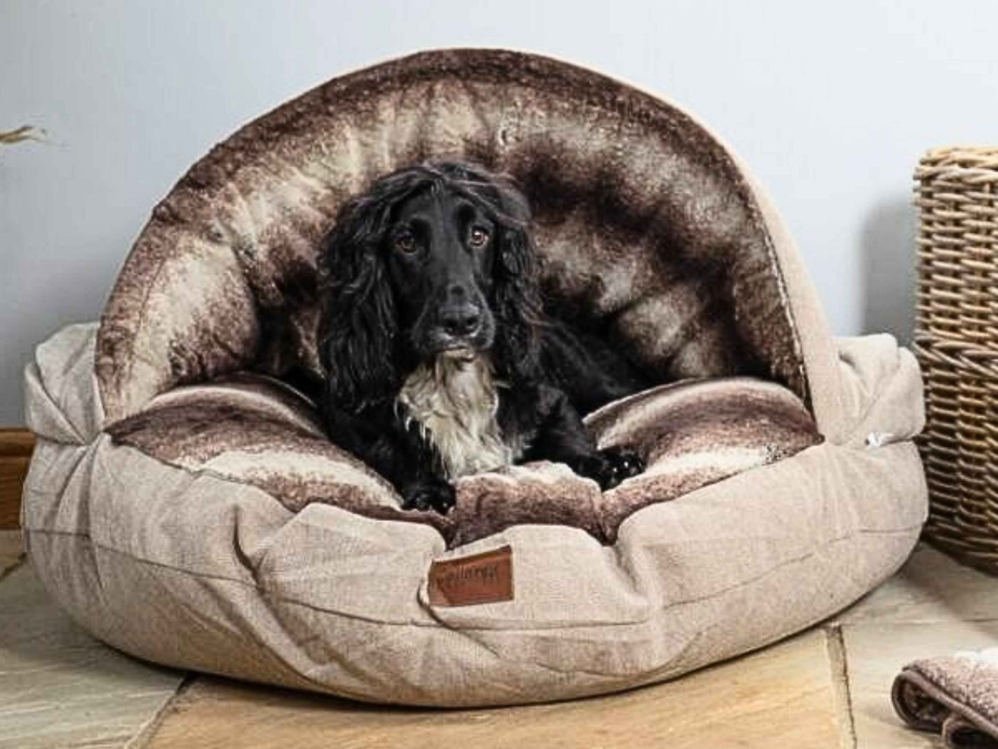 Black spaniel relaxing in beige dog cave bed with matching blanket - Collared Creatures