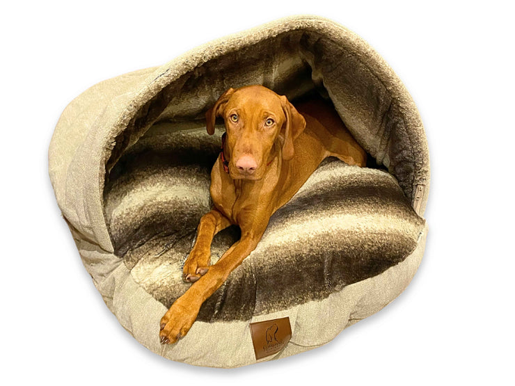Vizsla comfortably lounging inside the beige dog cave bed - Collared Creatures