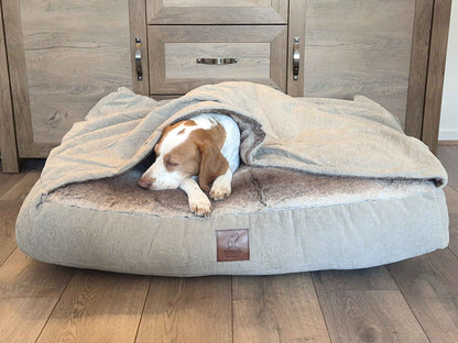 Beagle curled up inside beige snuggle bed for dogs, resting comfortably on faux fur base - Collared Creatures