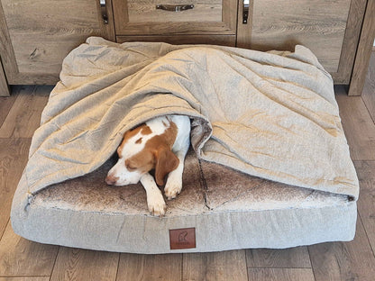 eagle peacefully sleeping inside beige dog snuggle sack with hood partially covering its body - Collared Creatures