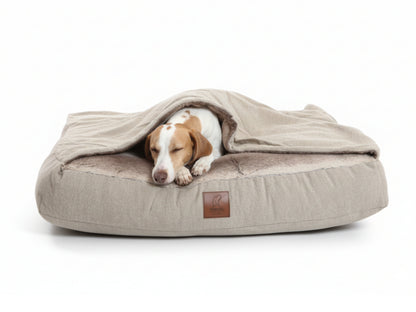 Whippet resting inside beige hooded snuggle dog bed on white background, cozy and warm.