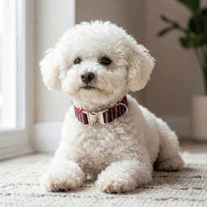 Christmas Multi Check Harris Tweed Dog Collar