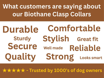 Word cloud highlighting positive attributes of Biothane Clasp Collars with a brown and white background.