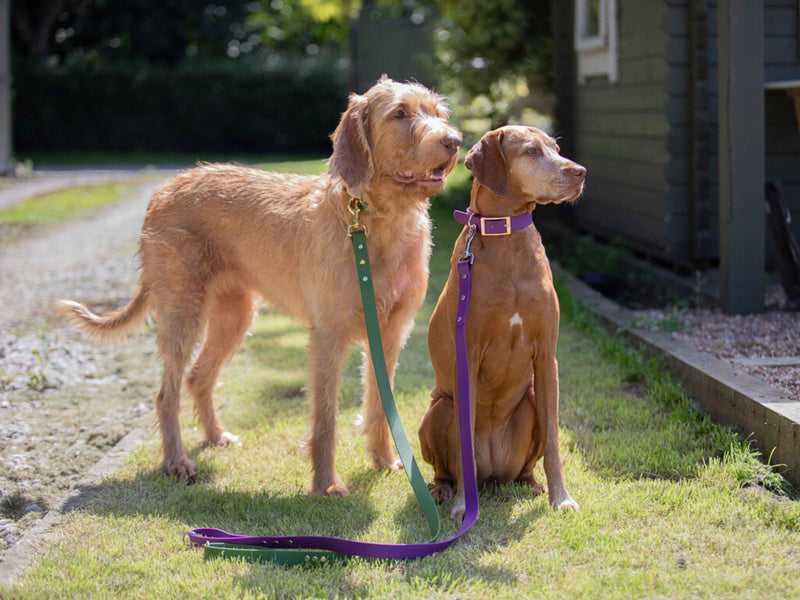 How Do You Find the Right Lead Length?