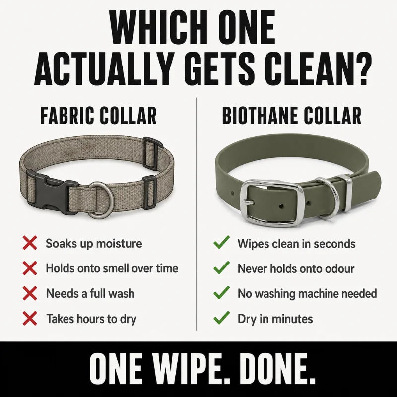 Olive Wasserdichtes Biothane Hundehalsband mit Schnalle