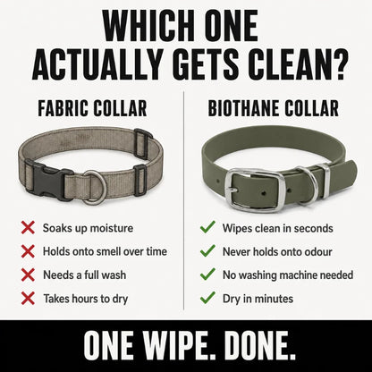 Olive Wasserdichtes Biothane Hundehalsband mit Schnalle