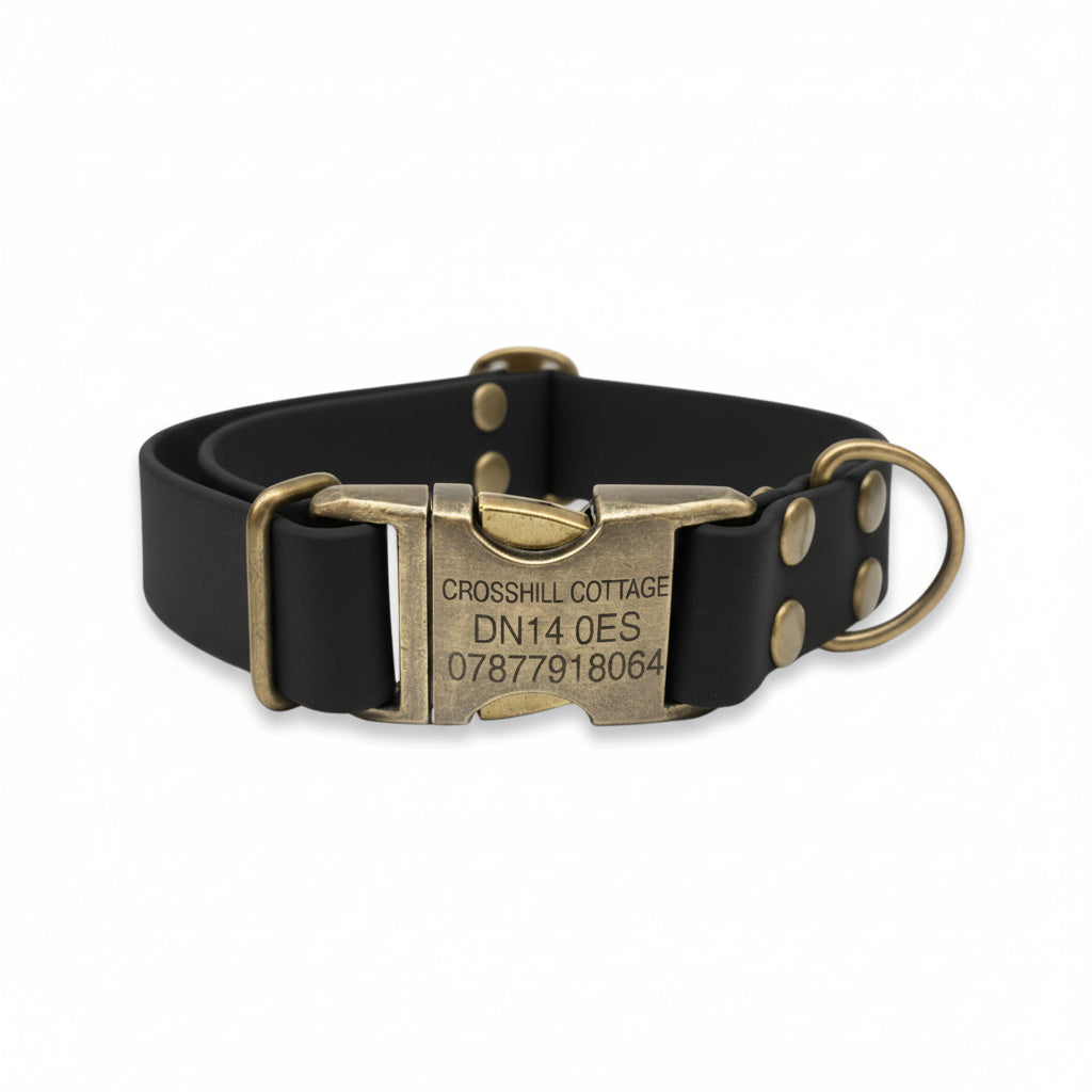 Black Biothane Waterproof Dog Collar – Custom Engraved Clasp