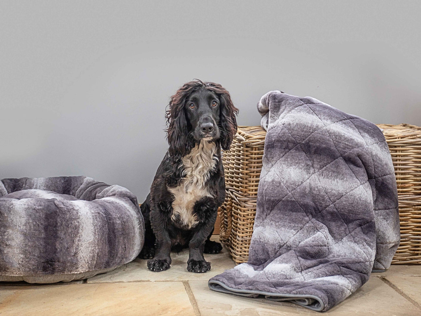 Cocker Spaniel next to a luxury quilted grey faux fur dog blanket and basket