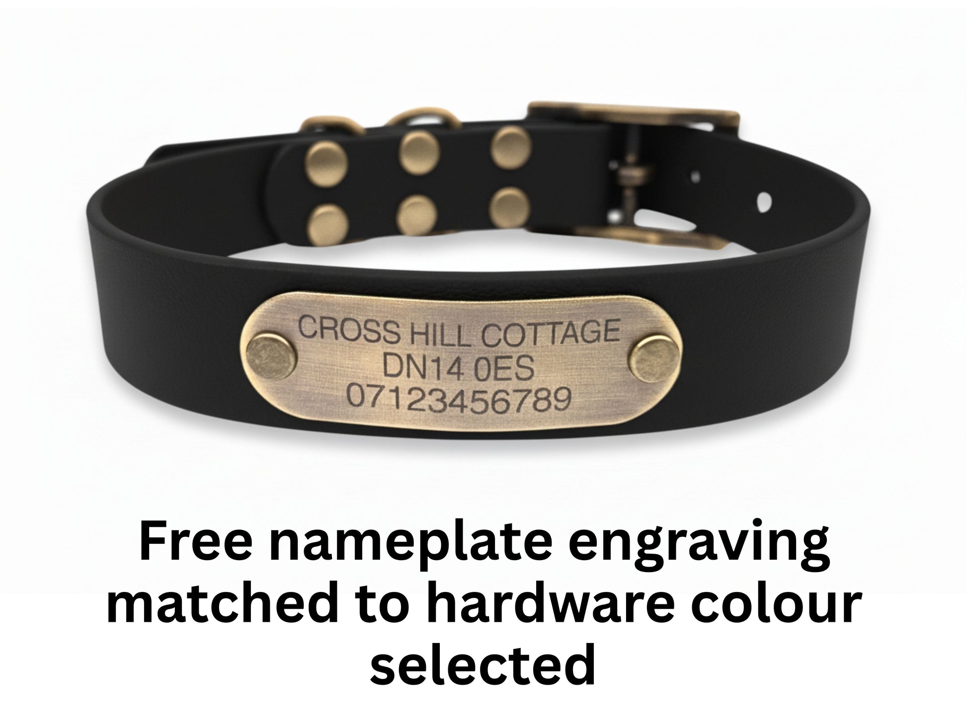 Black dog collar with a brass nameplate on a white background