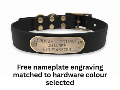 Black dog collar with a brass nameplate on a white background