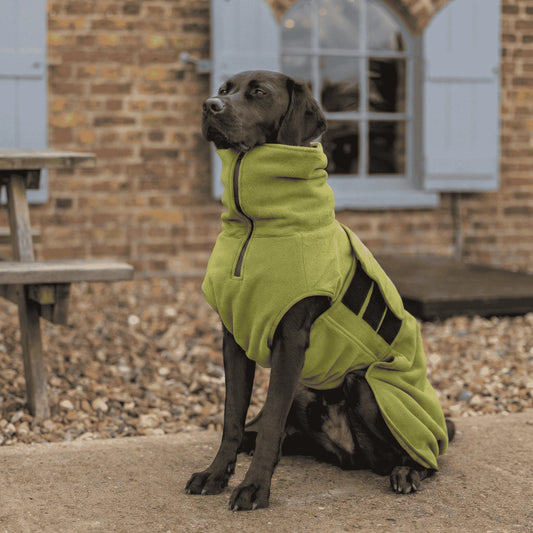 Green Superior Perfectly Practical Dog Drying Coat