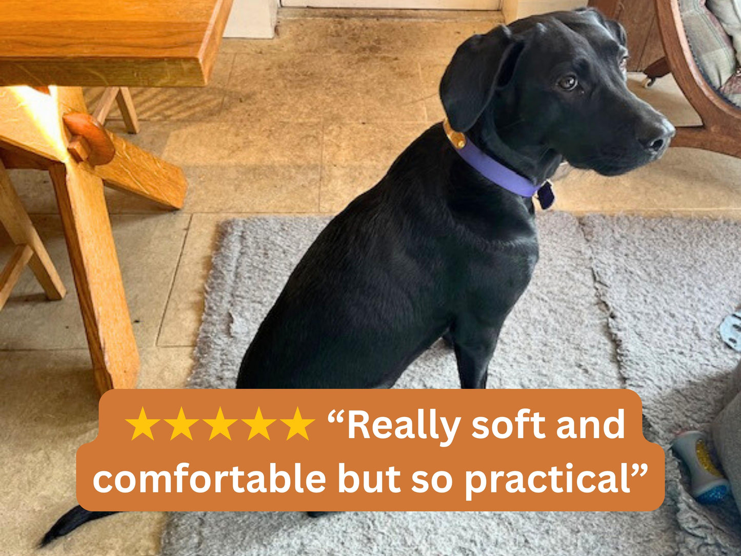 Black dog sitting on a rug with a five-star rating text overlay in a home setting.
