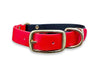 Black & Red Multicolour Waterproof Biothane Buckle Dog Collar