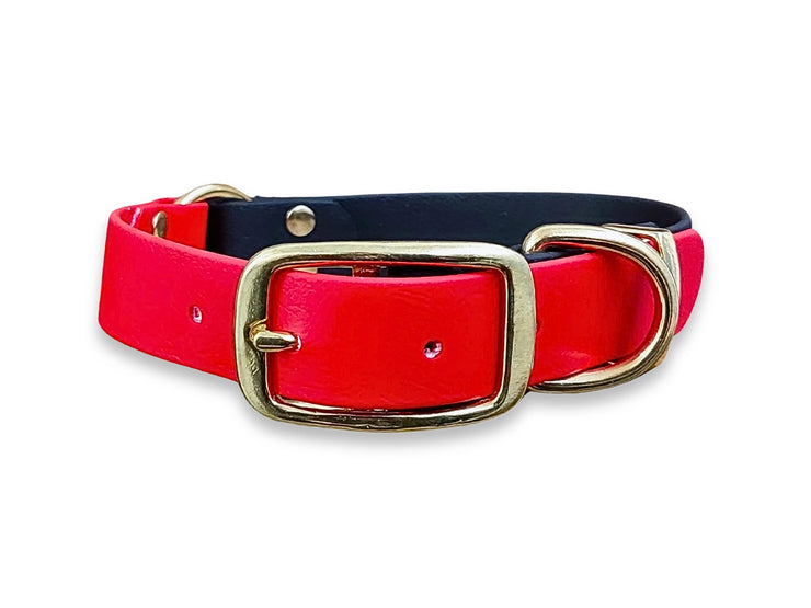 Black & Red Multicolour waterproof Biothane dog collar – odour-free, flexible and perfect for outdoor dogs – by Collared Creatures