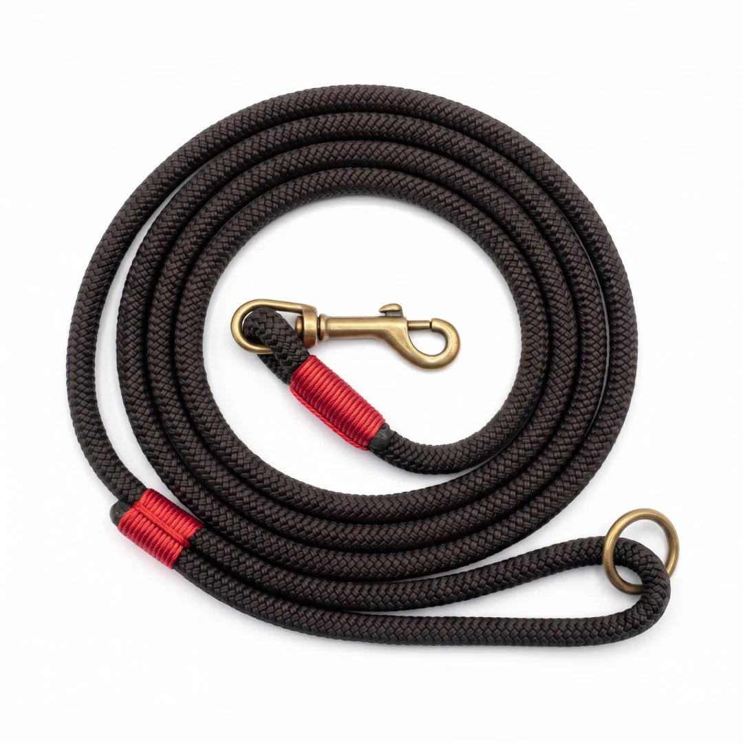 Black braided rope dog clip lead with red whipping and antique brass trigger clip and ring hardware