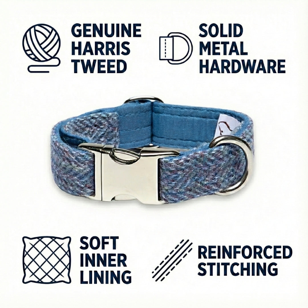 Blue Harris Tweed dog collar with metal hardware on a white background
