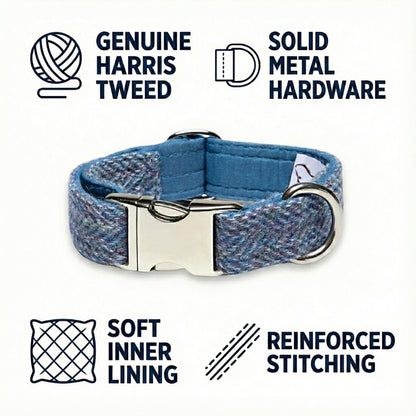 Blue Harris Tweed dog collar with metal hardware on a white background