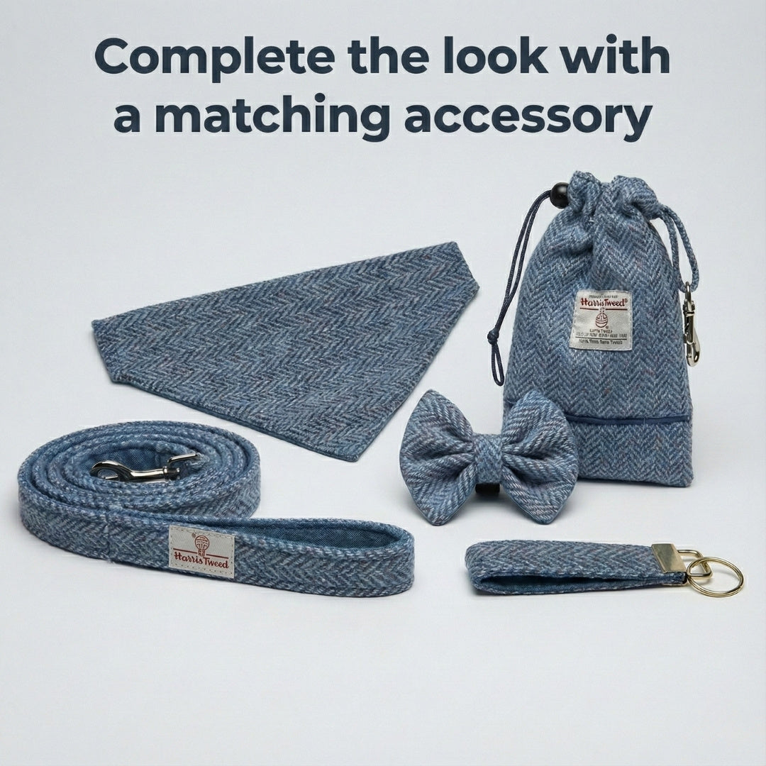 Set of blue herringbone dog accessories including a leash, bow tie, and keychain on a light gray background.