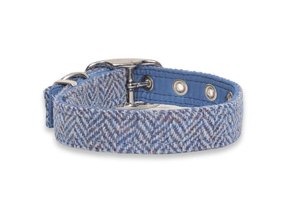 blue herringbone harris tweed buckle collar rear view