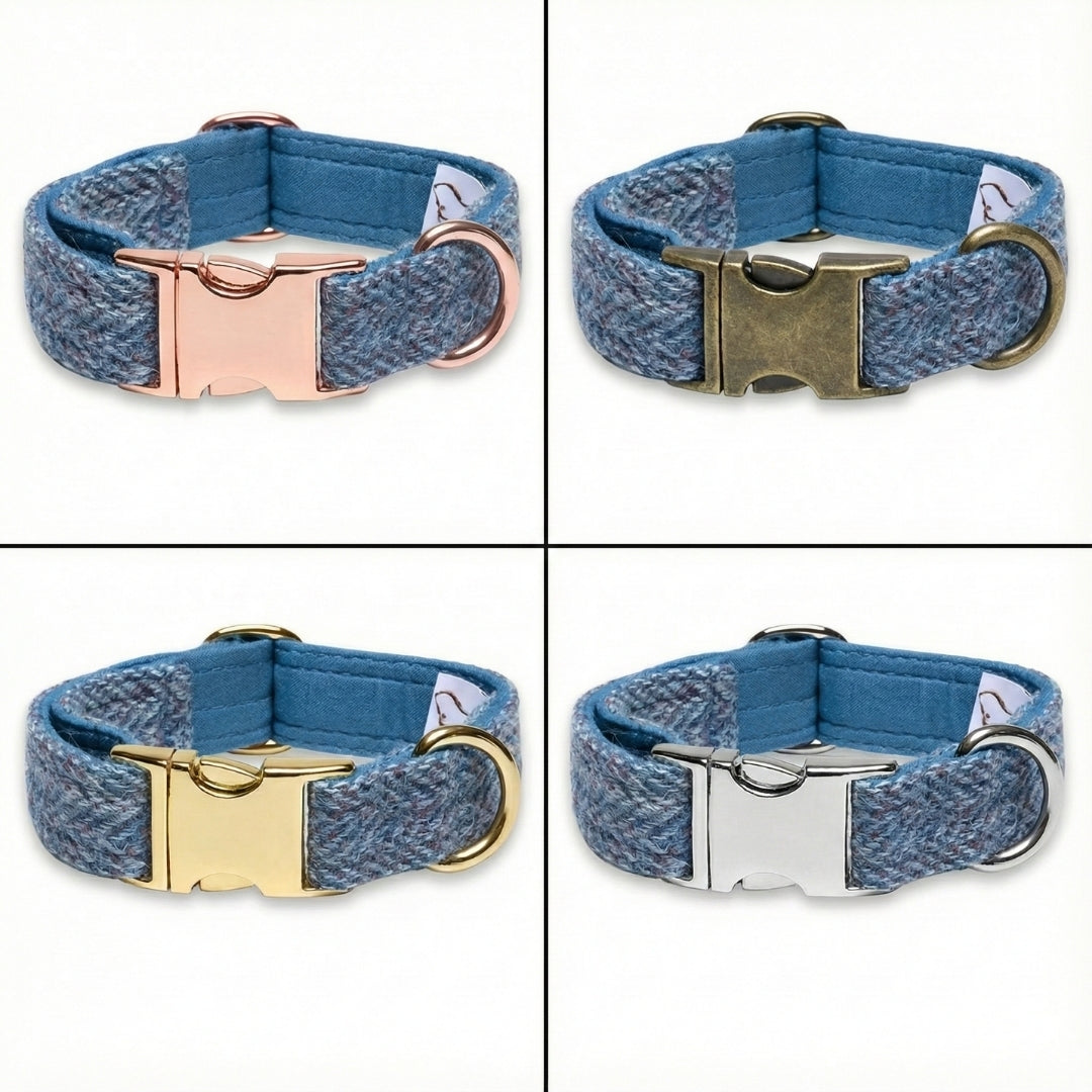 Four blue dog collars with different colored buckles on a white background