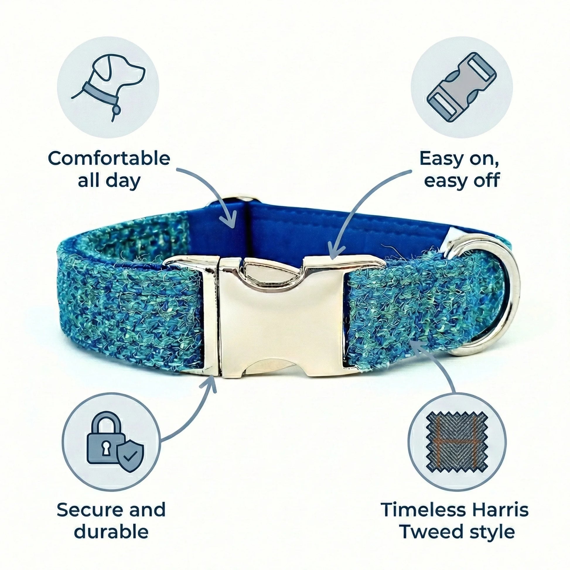 Blue dog collar with features highlighted on a white background